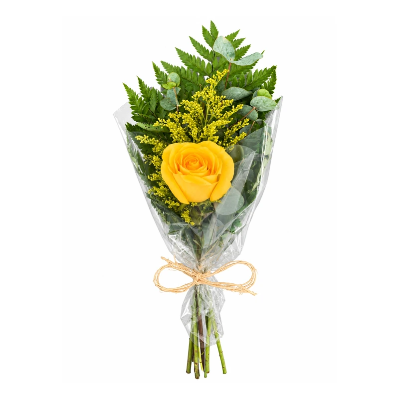 Rosa amarela com folhagens