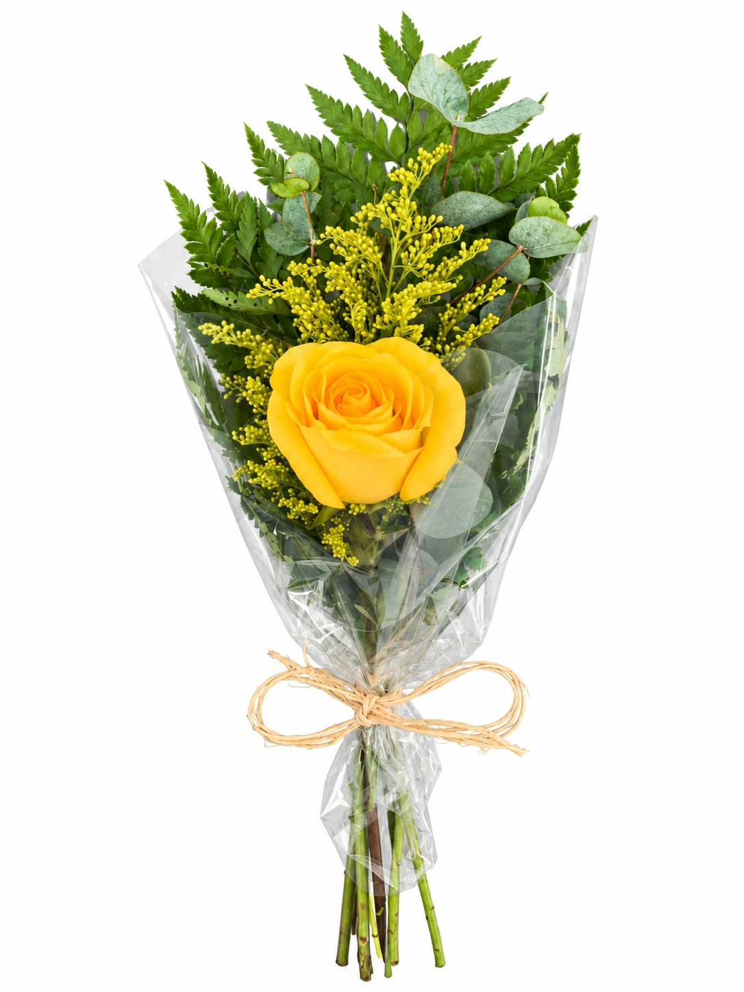 Rosa amarela com folhagens
