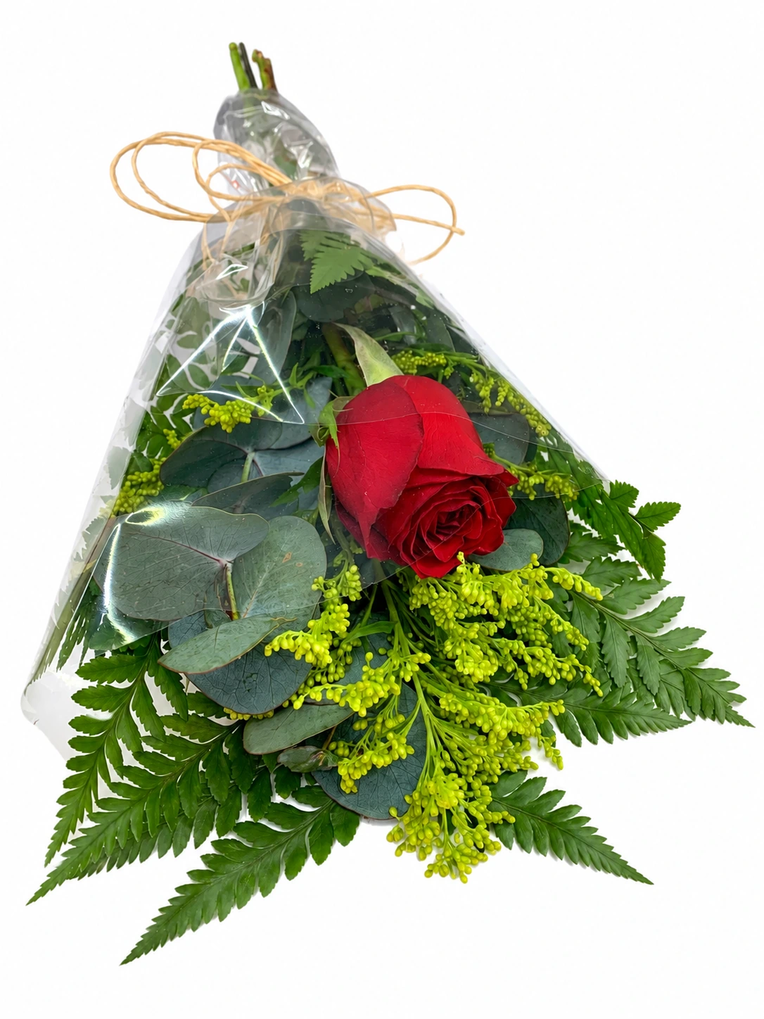 Rosa vermelha com folhagens